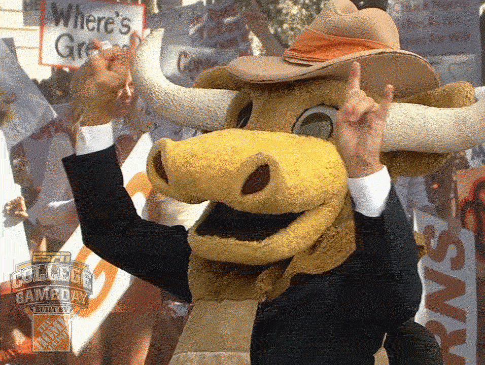 Texas Longhorns Mascot Rocks GIF
