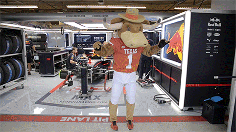 Texas Mascot Longhorns Dancing Back Stage GIF