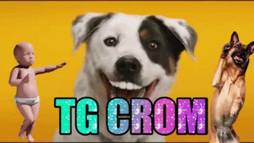 Tg Smiling Dog GIF