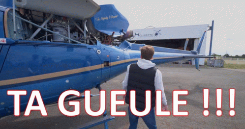 Tg Sylvain Vilebrequin Beside Plane GIF