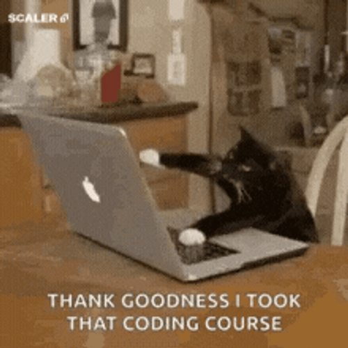 Thank Goodness I Took That Coding Course GIF