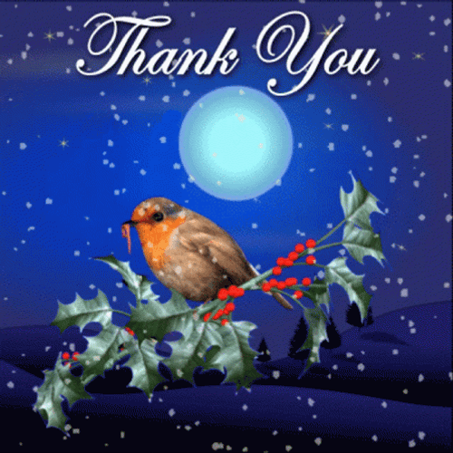 Thank You And Merry Christmas Night Sticker GIF
