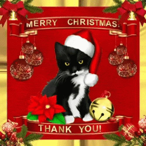 Thank You And Merry Christmas Santa Cat GIF