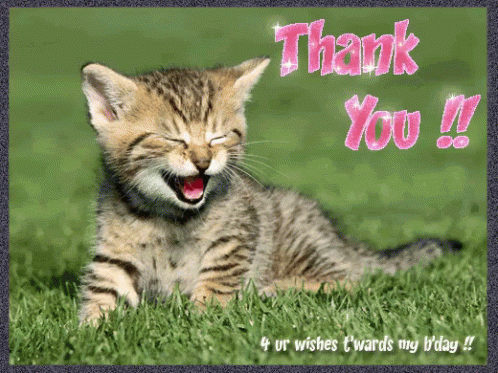 Thank You Card With Laughing Kitten