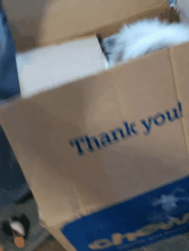 Thank You Cat In Delivery Box GIF