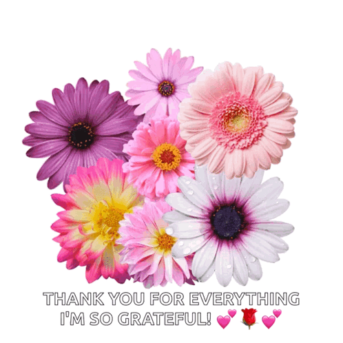 Thank You Flowers Grateful
