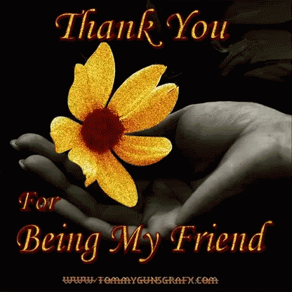 Thank You For Being A Friend 416 X 416 Gif GIF