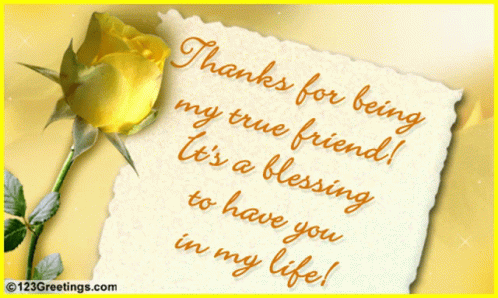 Thank You For Being A Friend 498 X 298 Gif GIF