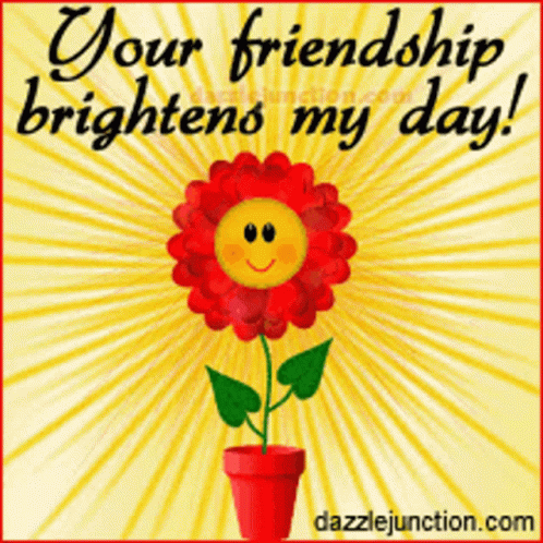 Thank You For Being A Friend 498 X 498 Gif GIF