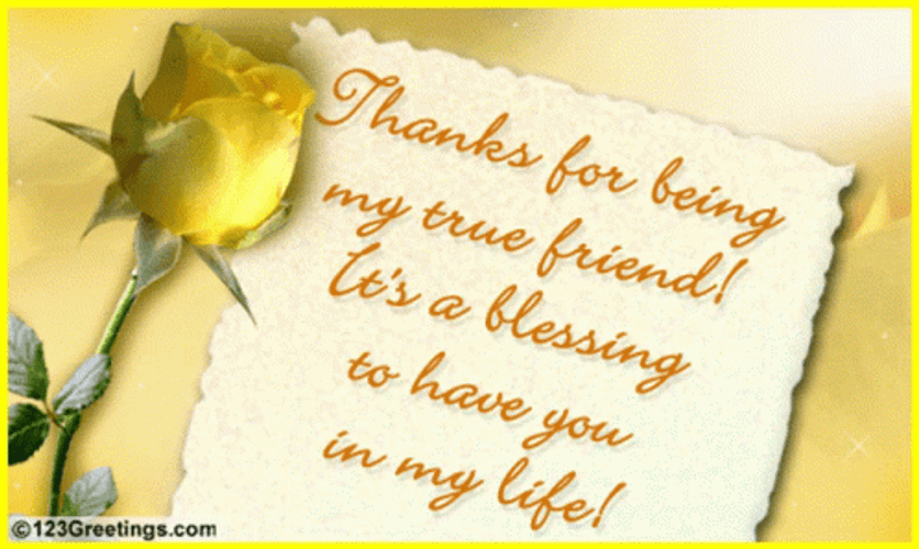Thank You For Being A Friend GIF