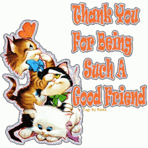 Thank You For Being A Friend Letter With Cats GIF