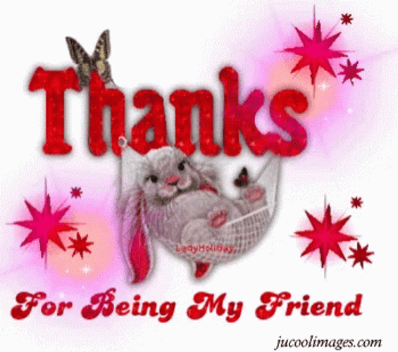 Thank You For Being A Friend GIF