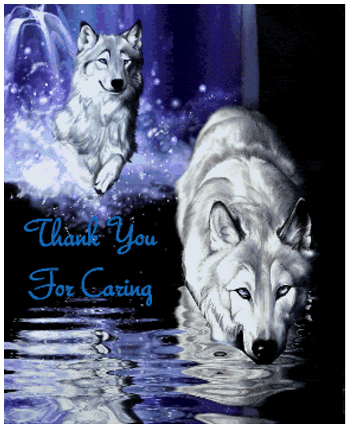 Thank You For Caring Wolves Visual Art GIF