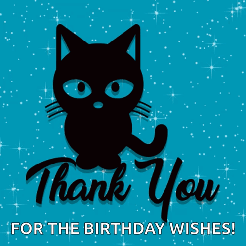 Thank You For The Birthday Wishes Black Cat GIF