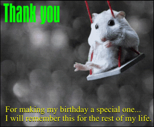Thank You For The Birthday Wishes Cute Mouse GIF