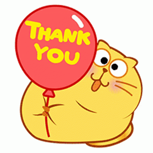 Thank You For The Birthday Wishes Yellow Cat GIF