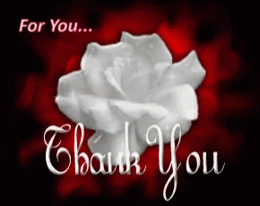 Thank You Friend Flower For You GIF