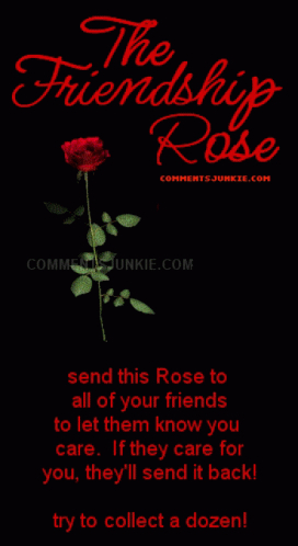 Thank You Friend Friendship Rose GIF