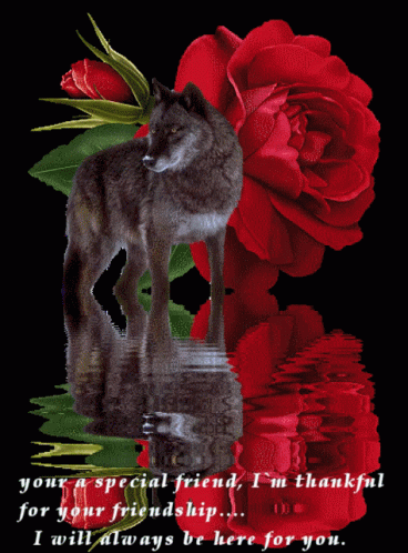 Thank You Friend Roses And Wolf GIF