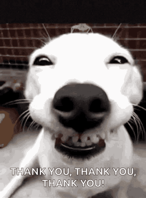 Thank You Funny Dog Teeth GIF 
