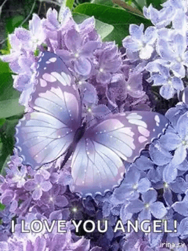 Thank You Glitter Purple Butterfly GIF
