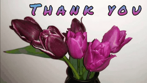 Thank You Gracias Red Flowers GIF