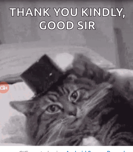 Thank You Kindly Good Sir GIF