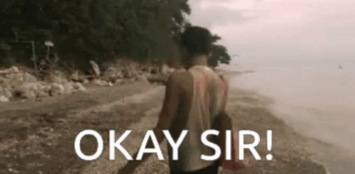Thank You Sir Okay Sir GIF
