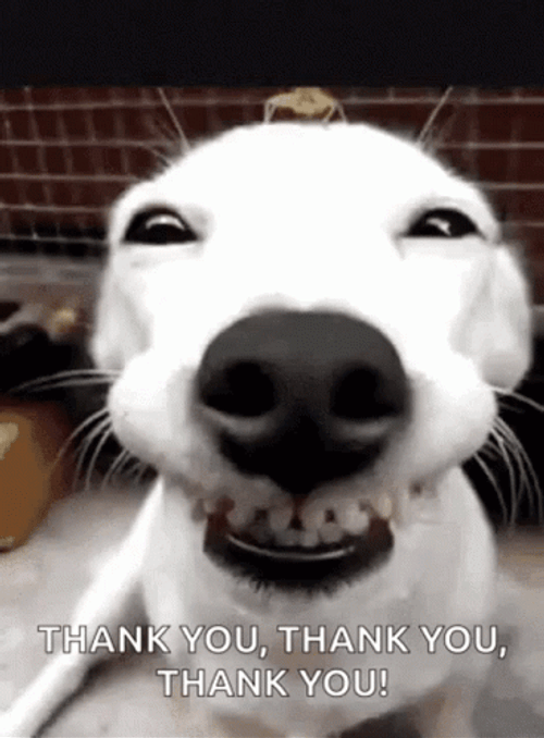 Thank You Thank You Puppy Big Grin GIF