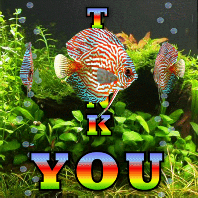 Thank You Tropical Fish Gif GIF