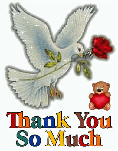 Thank You Very Much Dove Rose GIF