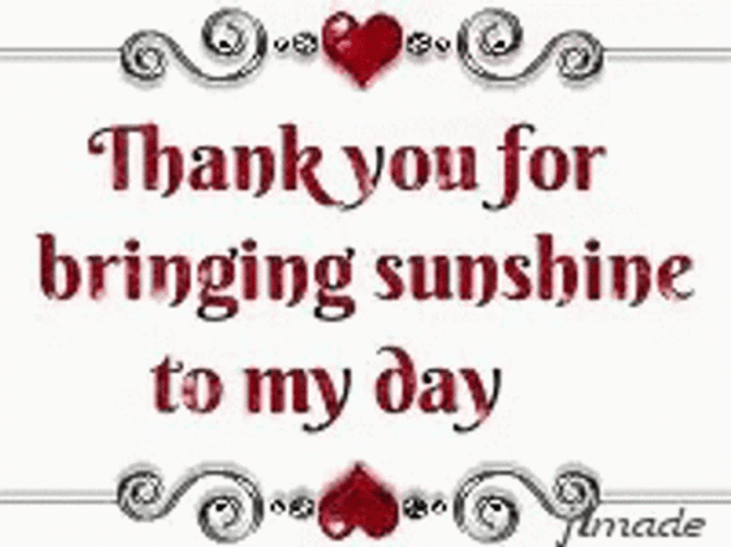 Thankful For Bringing Sunshine To My Day GIF