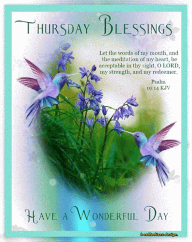 Thankful Thursday Couple Bird GIF