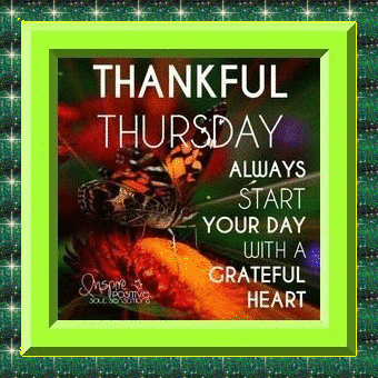 Thankful Thursday Gif GIF