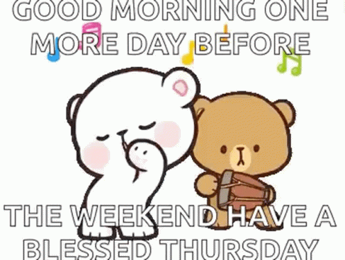 Thankful Thursday Happy Bears GIF
