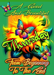 Thankful Thursday Happy Thursday Meme GIF