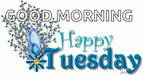 Thankful Tuesday Happy Morning GIF