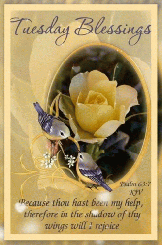 Thankful Tuesday Inspirational Verse GIF