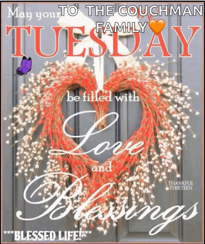 Thankful Tuesday May You Field With Love GIF