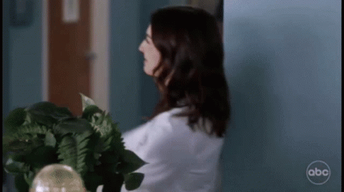 Thanks Girl Greys Anatomy Amelia Shepherd Addison Montgomery GIF