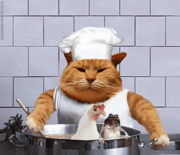 Thanksgiving Cat Cooking Chicken And Frog GIF