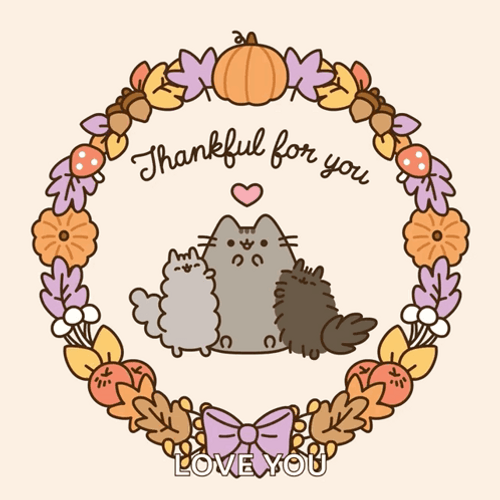 Thanksgiving Cat Love You GIF