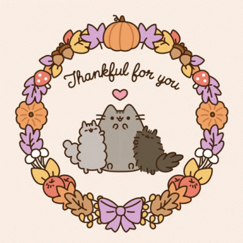 Thanksgiving Cat Thankful For You GIF