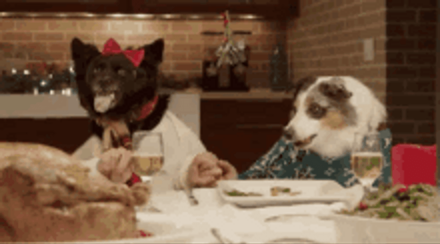 Thanksgiving Dinner Dogs Fighting GIF