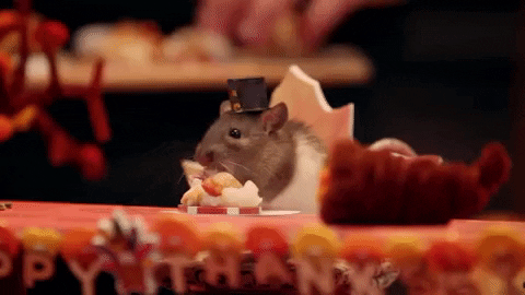Thanksgiving Dinner Matilda Enjoying Dinner Feast GIF