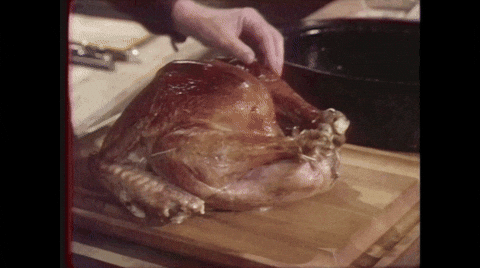 Thanksgiving Dinner Turkey Checking Time GIF