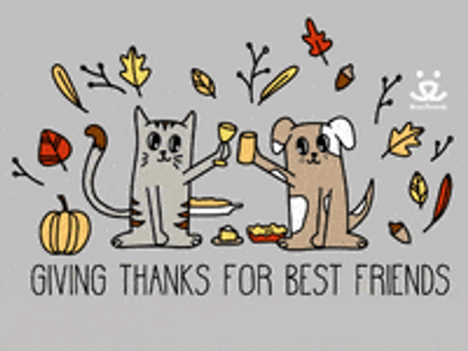 Thanksgiving Dog And Cat Digital Text Design GIF