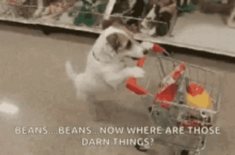 Thanksgiving Dog Pushing Grocery Cart GIF