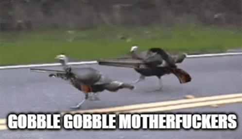 Thanksgiving Funny Running Turkey Gobble GIF