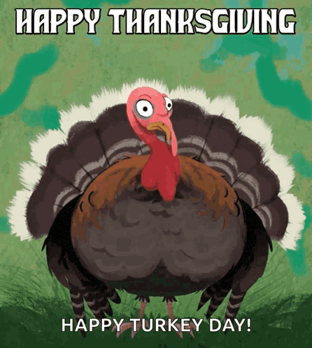 Thanksgiving Funny Happy Turkey Day GIF